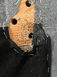 entreprise punaises de lit paris 11