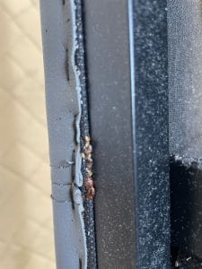 traitement de punaises de lit paris 11